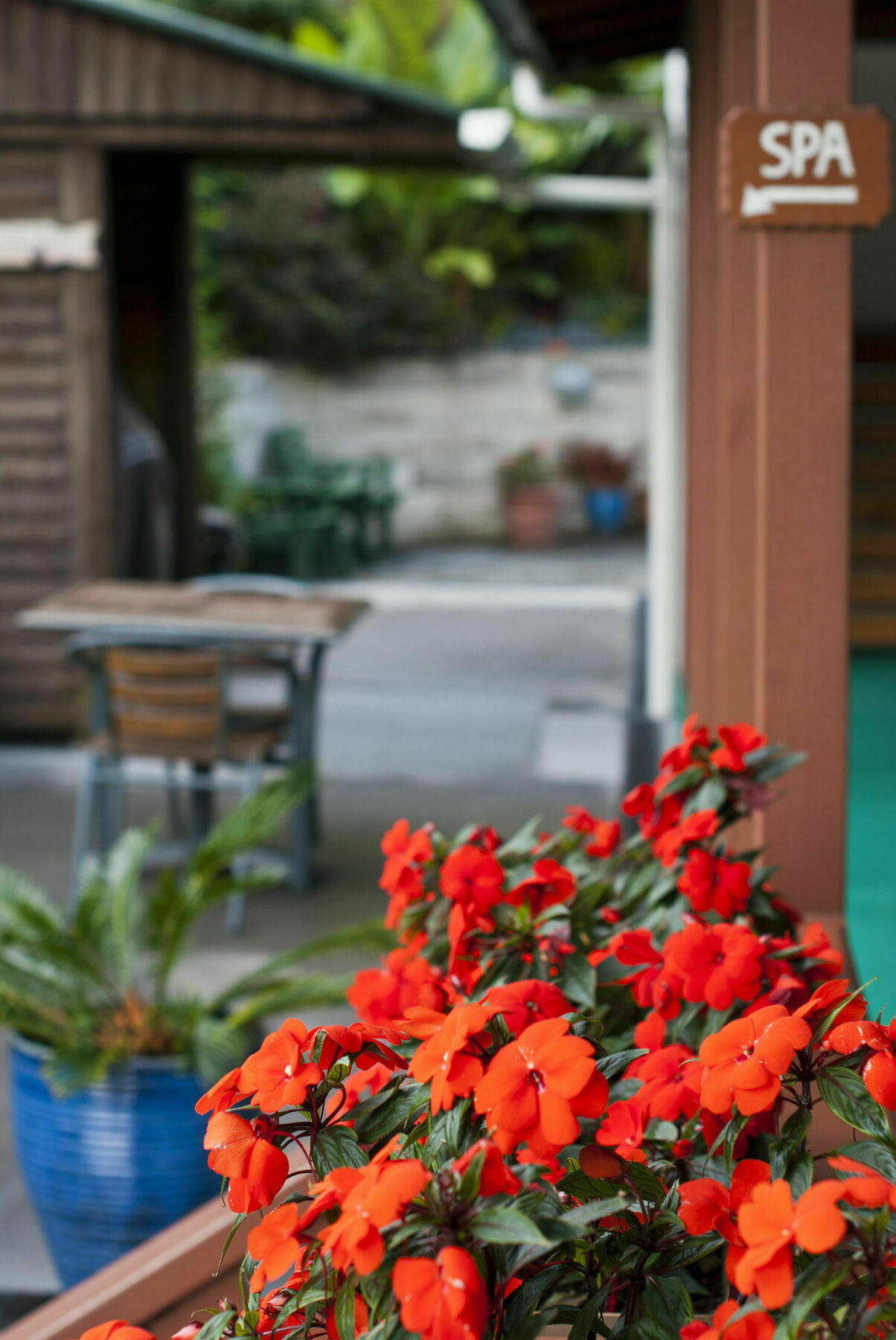 Swiss Chalet alojamiento Motel Paihia Exterior foto